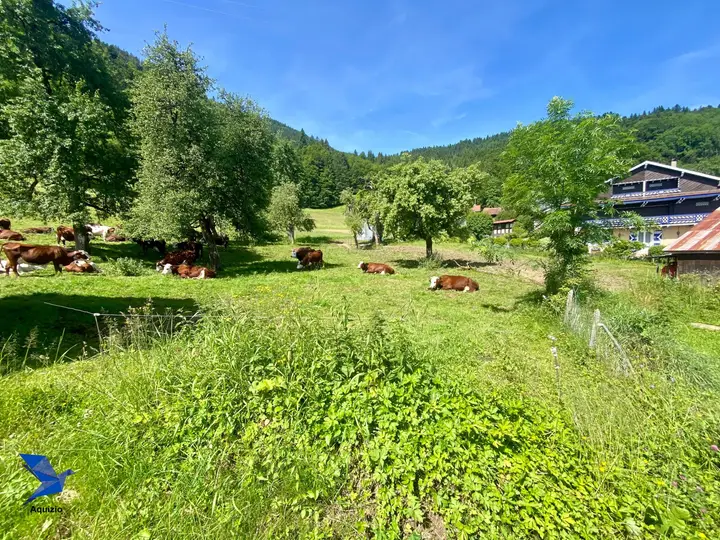 Terrain de 723m2 — photo 5